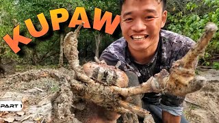 P1 - Kupaw at Giant Alimango - EP1667