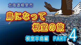 鳥になって根室の旅（根室半島編　 PART4）