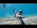 snorkeling the diving site at blue heron bridge from shore sunken ships