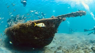Snorkeling the Diving Site at Blue Heron Bridge From Shore (Sunken Ships)