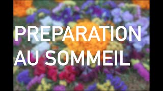 Préparation au sommeil - Balayage corporel ⟡ Ginkgo