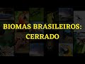 Biomas Brasileiros: Cerrado