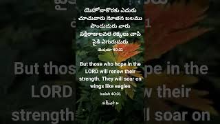 ఓర్పు కలిగి దేవునిని అడుగుతూనే ఉండండి ప్రార్థన ద్వారా#jesus#yeshua#jesuslovesyou#christian#yt#new