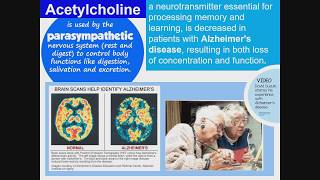 Neurotransmitters \u0026 Drugs