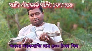 সাবস্ক্রাইবার দের জন্য অফার সড়ক বাজি  মাত্র ৫০০ টাকা সাদা সবুজ সেটিং সেল হবে#মুর্শিদাবাদি ব্লাড#