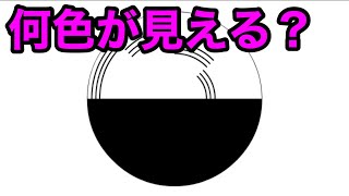 【実験】見えない色が見える！？不思議な白黒のコマを回してみた！