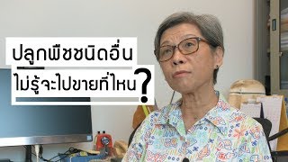 การปรับตัวต่อภาวะภัยแล้งของเกษตรกรทำนาในพื้นที่ชลประทาน