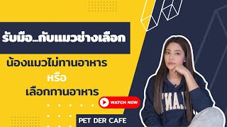 วิธีรับมือกับแมวช่างเลือก!!!🐱🥰เลือกกิน ไม่ยอมทานอาหาร Pet Der Cafe Ep.18