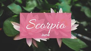 Scorpio❤️Hiding their disappointment of u not giving them attention.. this is what they r up to..