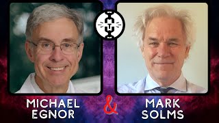 Mark Solms \u0026 Michael Egnor Disucuss Materialism and Neuroscience