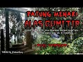 PATUNG MENARI ALAS GUMITIR  - FULL VERSION - By@lakonstory