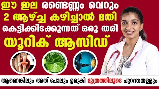 ഈ ഇല രണ്ടെണ്ണം വെറും രണ്ടാഴ്ച കഴിച്ചാൽ കെട്ടികിടക്കുന്ന യൂറിക് ആസിഡ് പൂർണ്ണമായും മാറും |