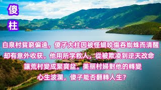 81  白泉村貧窮偏遠，傻子大柱因被怪蝎咬傷吞蜘蛛而清醒，却有意外收获。他用所学救人，從被欺凌到逆天改命，讓荒村變成聚寶盆。美丽村婦對他的轉         變心生波瀾，傻子能否翻轉人生？