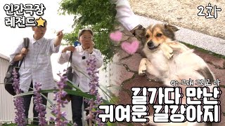 [인간극장 레전드 #160-2] 길강아지를 만났는데 줄 간식이 없다😥 | 그대 그리고 나 (2/5) [KBS 20140908-12 방송]