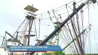 Safra da sardinha é considerada a pior dos últimos anos em Itajaí