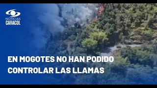 Santander, un infierno por incendios forestales: llamas consumieron 120 hectáreas en Floridablanca