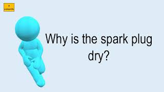 Why Is The Spark Plug Dry?