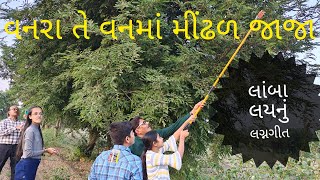 વનરા તે વનમાં મીંઢળ જાજા..છોરું પરણેને  ઝાડવા બાળકુંવારા.. professor Khachriya Gujarati Lagna Geet