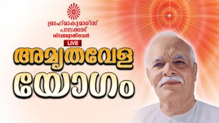 14.12.2021 Amrithavela Yogam | Brahma Kumaris Palakkad | Brahma Kumaris Kerala |