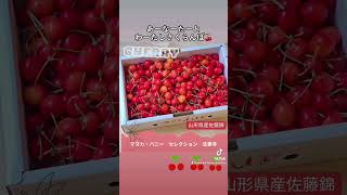 山形県産佐藤錦のさくらんぼ🍒´-ご賞味くださいませませ〜🩷