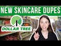 *NEW* Skincare Dupes At Dollar Tree 2024