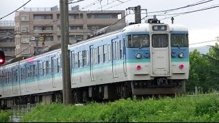 115系新潟　長野色とリニューアル新潟色N30+N35編成　427M