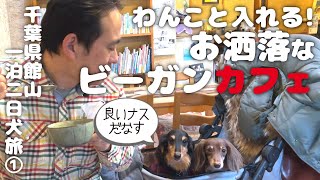 【犬連れ千葉館山旅行】道の駅保田小学校と美味すぎ！ビーガンカフェ「トゥルシー」さんのランチ 千葉県館山一泊二日わんこ旅①旅するペットショップの売れ残りと元保護犬