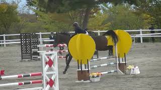 第71回山梨県体育祭り馬術大会2018　（8）小障碍飛越競技A　四年　外川ひかる　麻駿