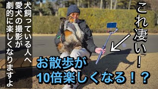 【神アイテム】犬とのお散歩が10倍楽しくなる！？愛犬家はこのジンバル買った方が良いよ【DJI Osmo Mobile 6】#dji