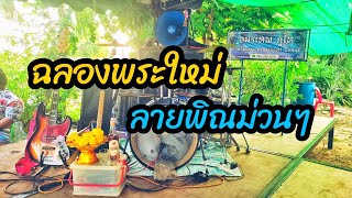 ลายพิณม่วนๆ ฉลองพระใหม่ | อมรเทพ ภูไท