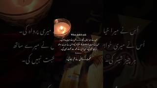 Amarbail-Umar Jahangir - Aleezay Sikandar - Umera Ahmad || BOOKTROVERT #ytshorts #urdu  #umeraahmed