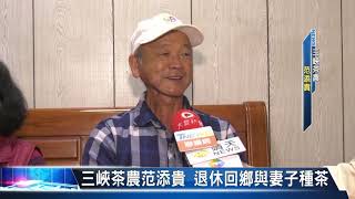 大豐新聞 三峽茶農范添貴 退休回鄉與妻子種茶