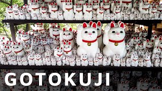 Japanese Lucky Cat Temple - Gotokuji, Tokyo - 4k 60fps - Walking in Japan