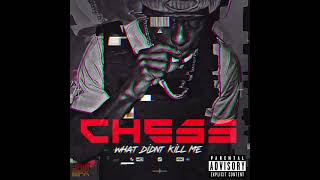 Chess - WHAT DIDN’T KILL ME