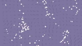 Vector Field Particles 2