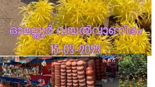 🥰പത്തനംതിട്ട ഓമല്ലൂർ വയൽ🥦 വാണിഭ 🍎🥭കാഴ്ചകൾ || ഒപ്പം കണ്ണിനു കുളിർമ്മ നൽകുന്ന ദൃശ്യങ്ങളും