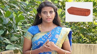 சிவப்பு சந்தனத்தின் மருத்துவ குணங்கள் | Medicinal Benefits of Red Sandal | Naalum Nalamum