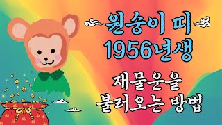 #shorts 원숭이띠 1956년 병신생 엄청난 재물운이 밀려오게 하는 방법!