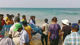 #East #fresh #fish #fishing East Coast fishing method | கிழக்கு கடற்கரை மீன்பிடி முறை சூப்பர்.