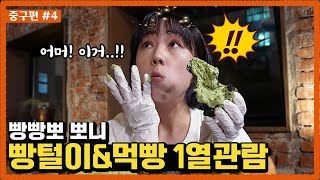 중구편_4. 뽀니의 중구 빵털이\u0026먹빵 1열관람 | 빵카로드2