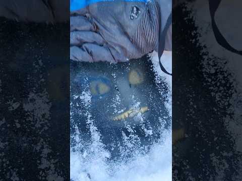 Found a Frozen Dinosaur under the ice! How did it get there?
