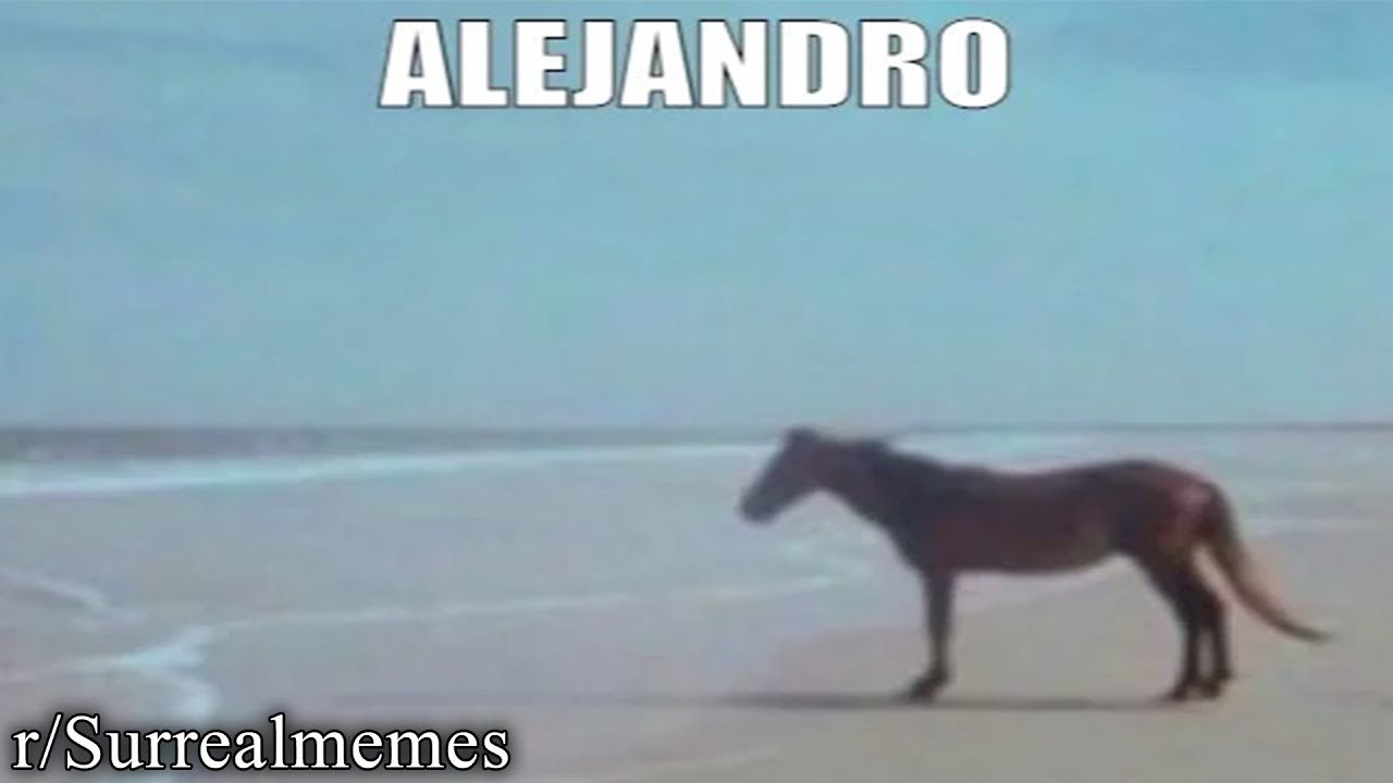 Alejandro Meme Have An Alejandro Saab Meme Because Wasabee Genshin