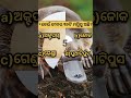 *କେଉଁ ଜୀବର ୩୨ଟି ମସ୍ତିସ୍କ ଅଛି viralshorts gk quiz