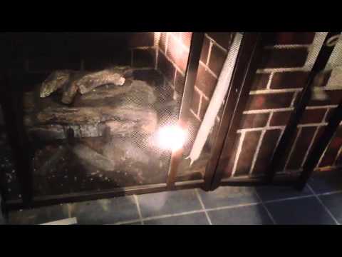 Squirrel in the chimney- how to remove. Squirrel in the chimney- how to remove.