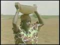 Zimbabwe Facing Critical Food Shortages