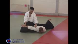 Aikido Katadorimenuchi Ikkyo Shishiya Sensei Sandviken