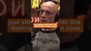 Joe Rogan  How coyotes tricked his dog to play  #jreclips #podcast