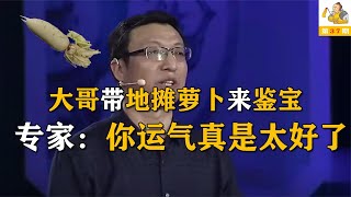 大哥拿萝卜来鉴宝，专家鉴定后说：我劝你上缴国家，此物不能流通