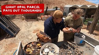 Giant Opal Parcel Pays Out Thousands!