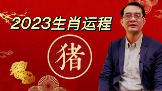 2023年12生肖运程 - 肖猪